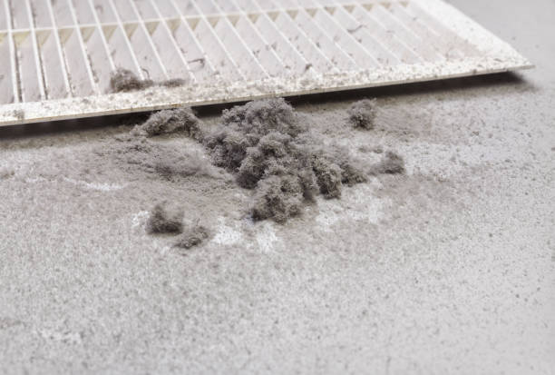 Best Residential Air Duct Cleaning  in North Browning, MT
